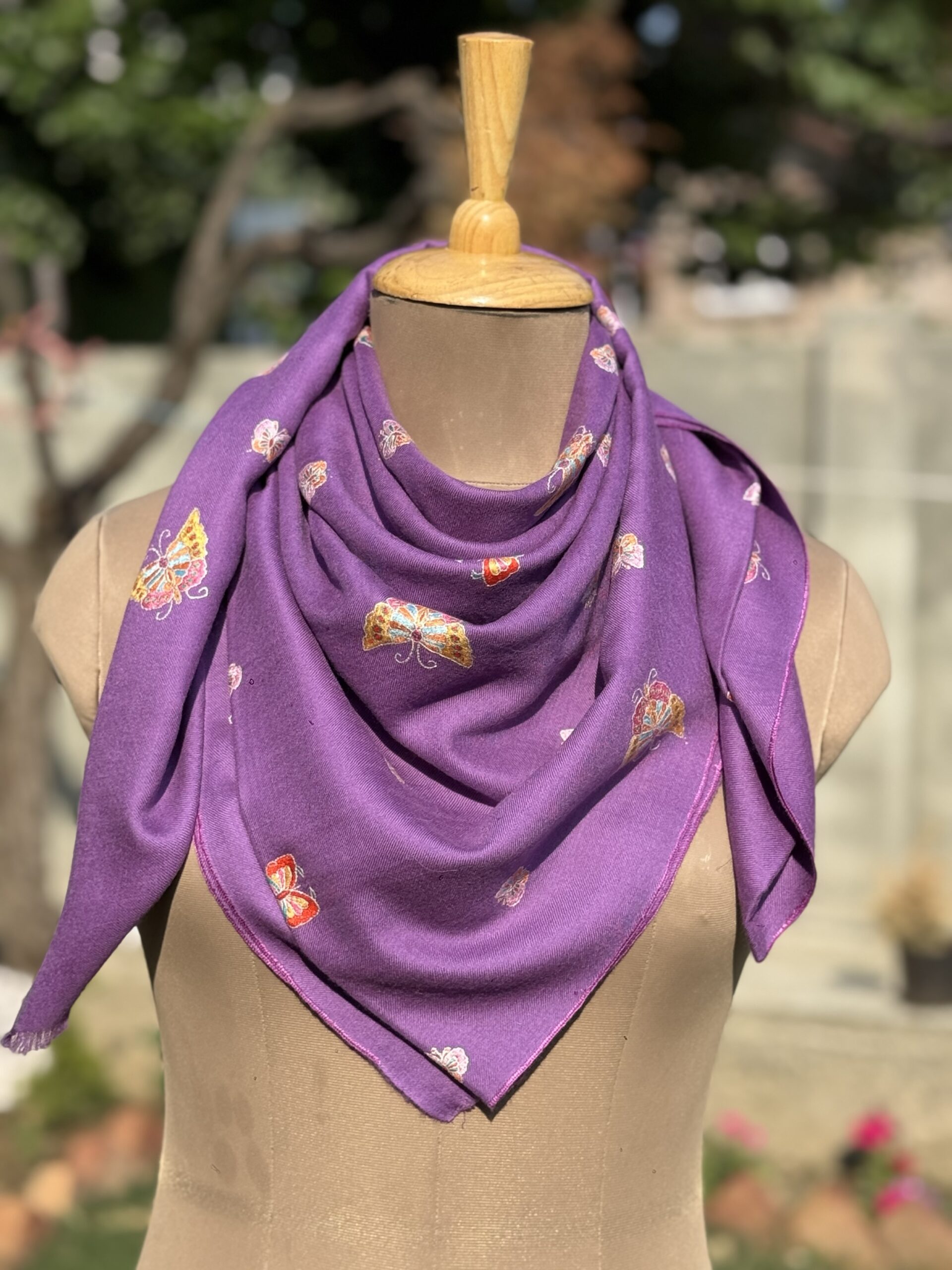 img_4018 Lila wings Pashmina Shawl - Image 1
